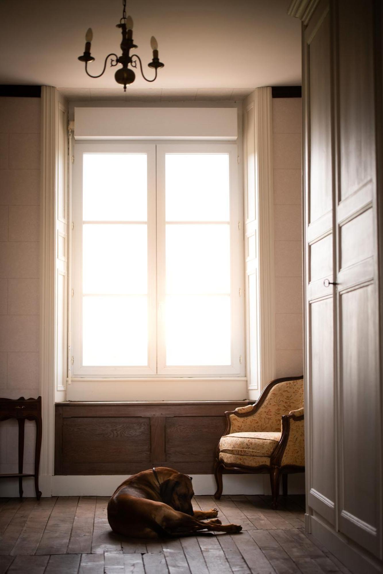 Bed and Breakfast Domaine De La Briouse Sanxay Esterno foto