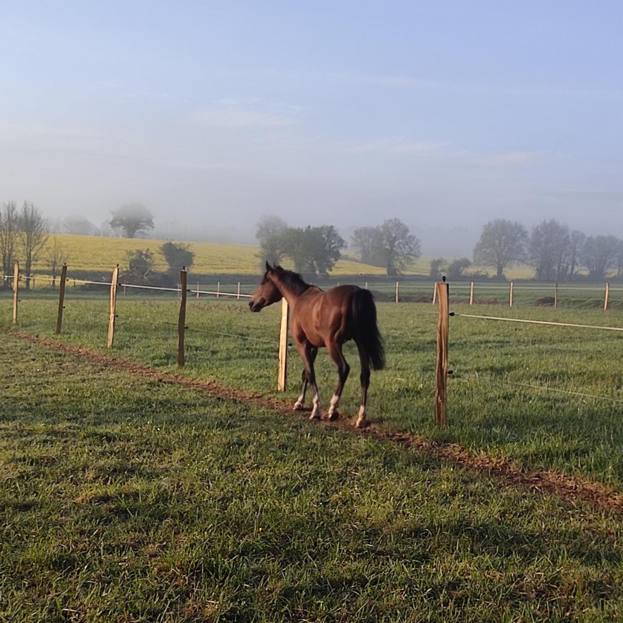 Bed and Breakfast Domaine De La Briouse Sanxay Esterno foto