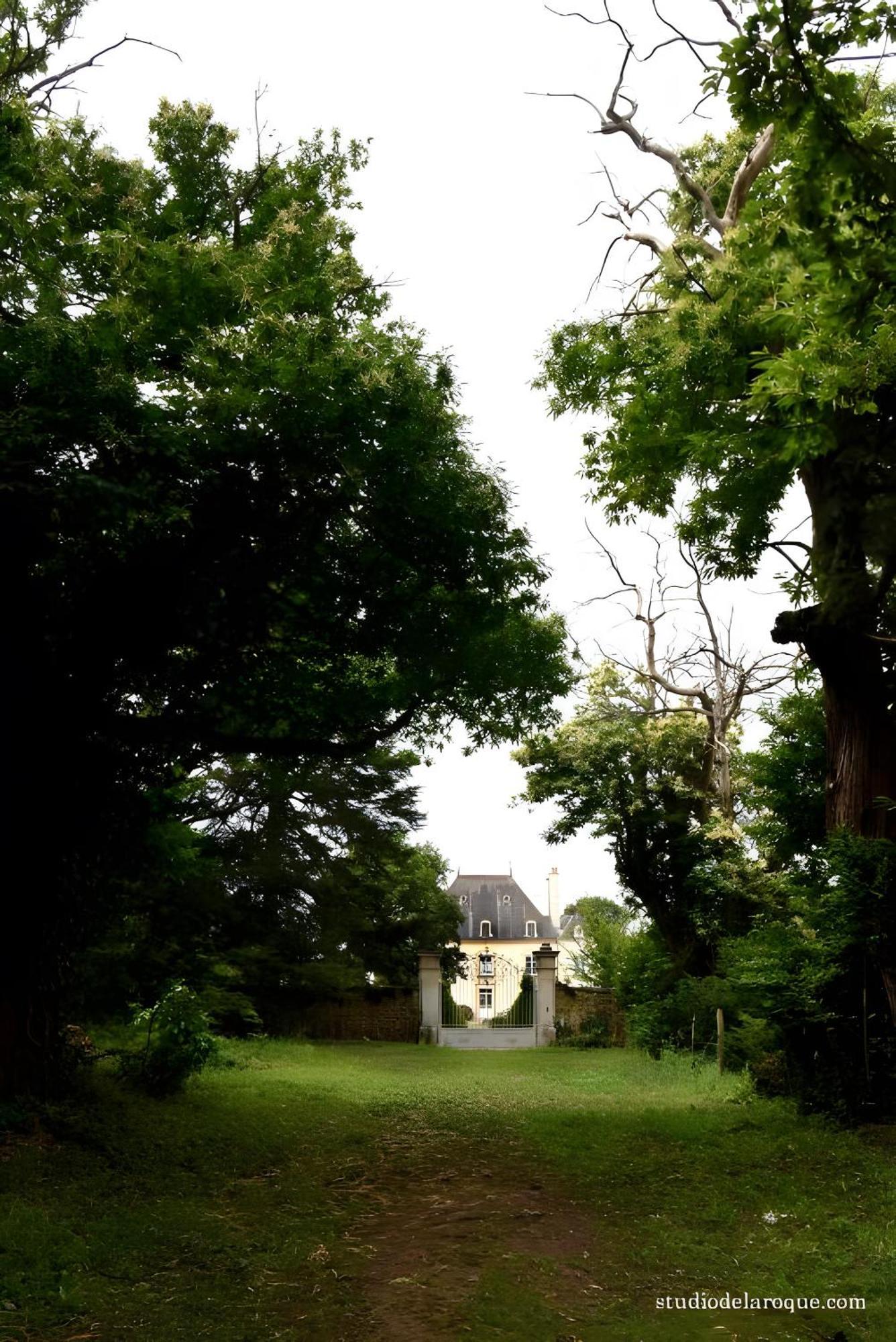 Bed and Breakfast Domaine De La Briouse Sanxay Esterno foto