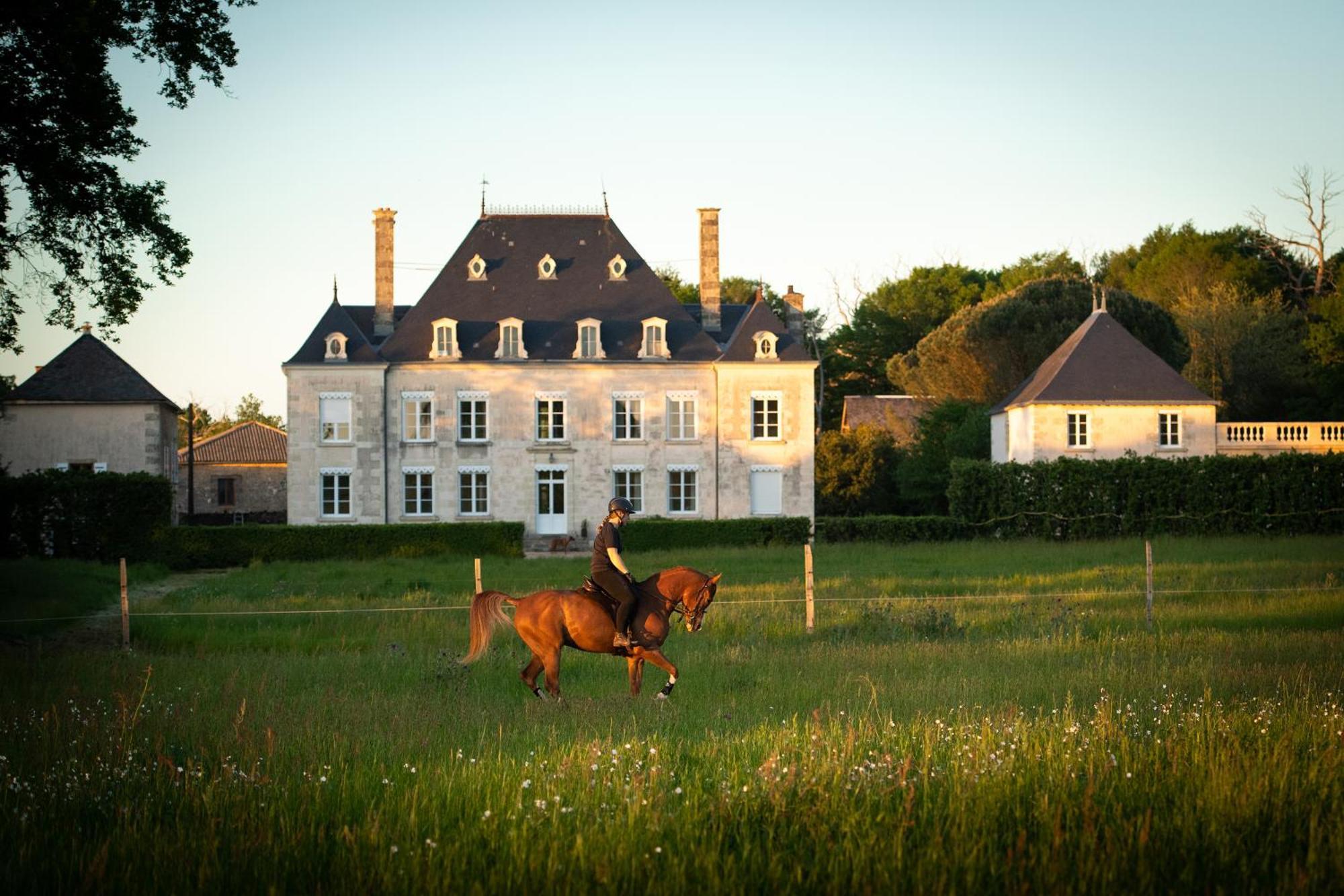 Bed and Breakfast Domaine De La Briouse Sanxay Esterno foto