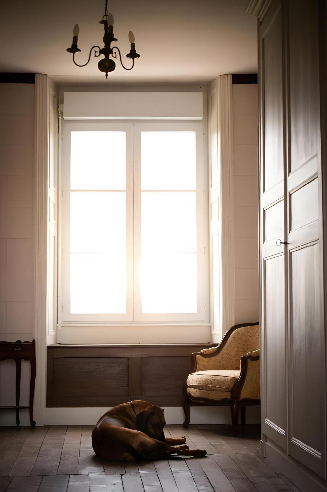 Bed and Breakfast Domaine De La Briouse Sanxay Esterno foto