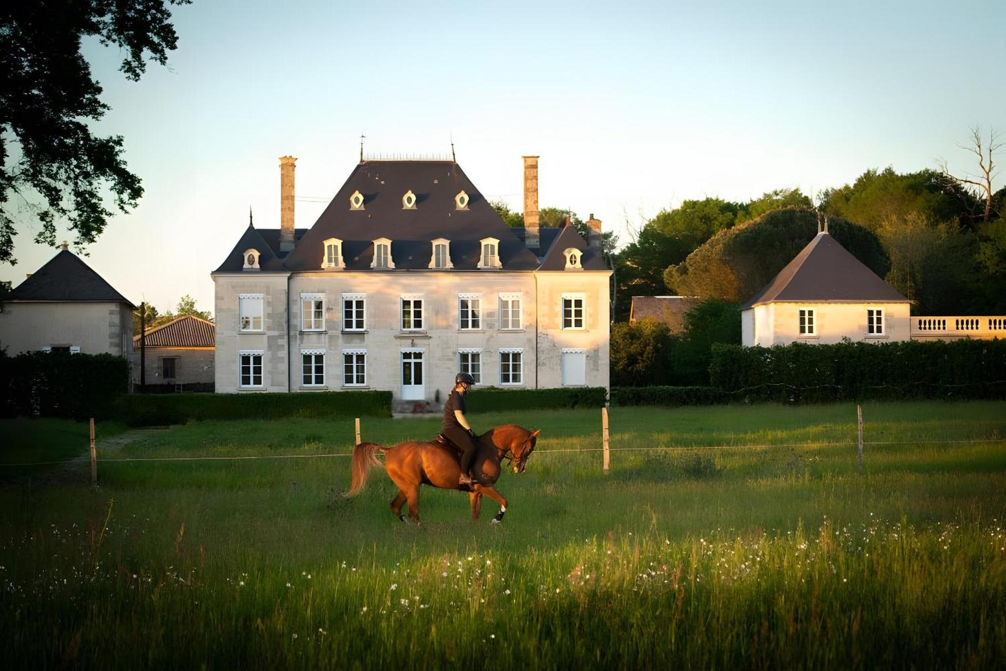 Bed and Breakfast Domaine De La Briouse Sanxay Esterno foto